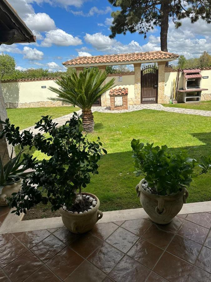 Gold House Luxury Anzio Villa Exterior photo